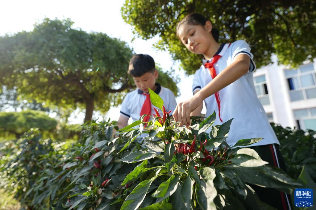 娱乐平台开户